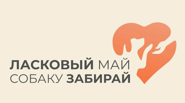 ЗООЗАЩИТНАЯ АКЦИЯ «Ласковый МАЙ-Собаку ЗАБИРАЙ!».